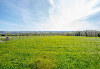 Felgroen grasveld met hek en bomen in de verte, foto genomen bij een pod onder een blauwe lucht.