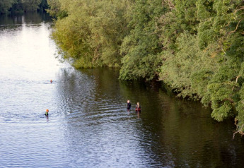 Mensen zwemmen en staan in een brede rivier naast groene bomen op een rustige, heldere dag buiten.