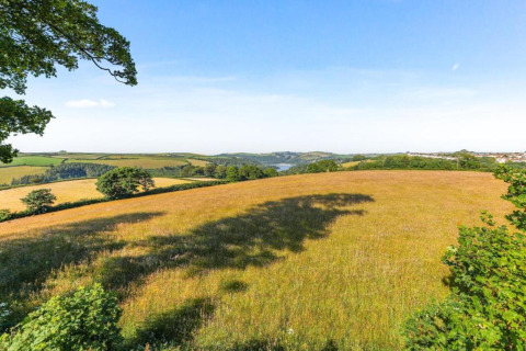 Vue panoramique sur des champs et collines verdoyants depuis le mobil-home Oak Tree Lodge au Royaume-Uni.