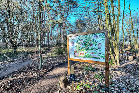 Woodland path at glamping site, information board with map and drawings, trees in bright sunlight.