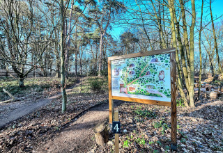 Woodland path at glamping site, information board with map and drawings, trees in bright sunlight.