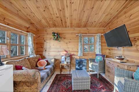 Cozy living area at Woodland Lodge chalet in the UK with wood walls, sofa, chairs, and mounted TV.