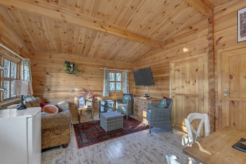 Cozy living room at Woodland Lodge chalet, UK, with wood walls, comfy sofa, TV, and rustic décor.