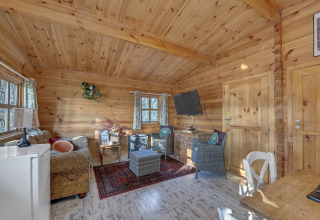 Cozy living room at Woodland Lodge chalet, UK, with wood walls, comfy sofa, TV, and rustic décor.
