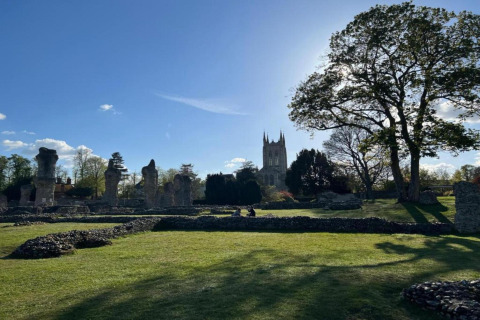 Zonnige dag bij historische ruïnes en een grote boom, met een kerk op de achtergrond op een glampinglocatie.