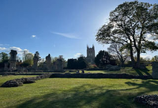 Zonnige dag bij historische ruïnes en een grote boom, met een kerk op de achtergrond op een glampinglocatie.