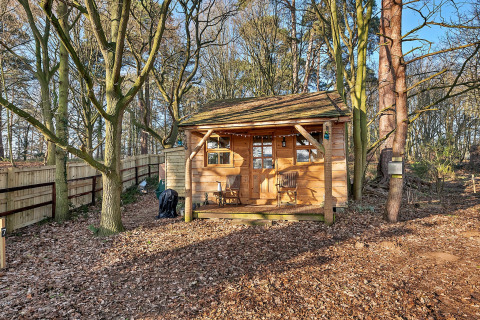 Træhytte ved navn Cedar Lodge i Storbritannien omgivet af træer og efterårsløv på skovbunden.