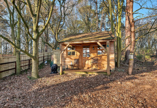 Træhytte ved navn Cedar Lodge i Storbritannien omgivet af træer og efterårsløv på skovbunden.