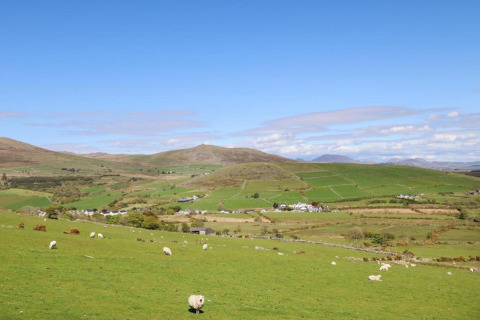 Collines verdoyantes avec des moutons près d’un hébergement glamping sous un ciel bleu dégagé à la campagne.