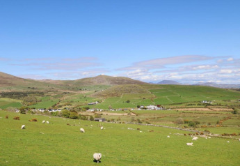 Groene heuvels en grazende schapen bij een glampingverblijf onder een blauwe lucht in het landelijke landschap.