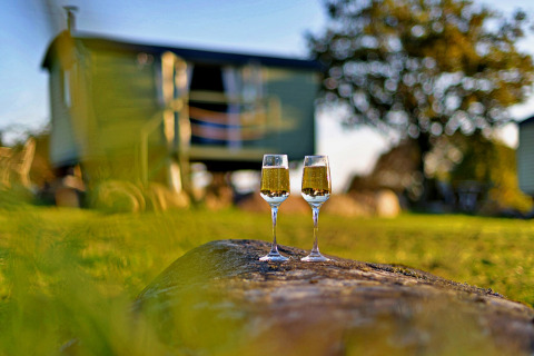 To champagneglas på en træstamme foran 'Angharad' Poachers Hut, en mobil hjem i Storbritannien.