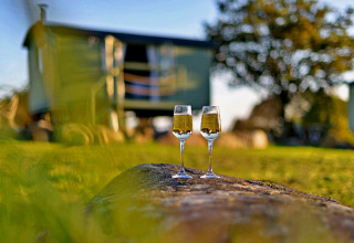 To champagneglas på en træstamme foran 'Angharad' Poachers Hut, en mobil hjem i Storbritannien.