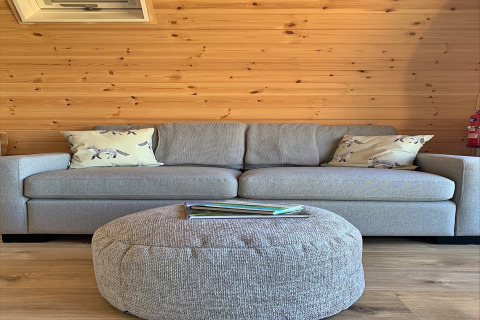 Salon lumineux au pod Worm Dale, Royaume-Uni, avec canapé gris, coussins renards et pouf rond confortable.