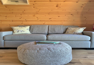 Salon lumineux au pod Worm Dale, Royaume-Uni, avec canapé gris, coussins renards et pouf rond confortable.