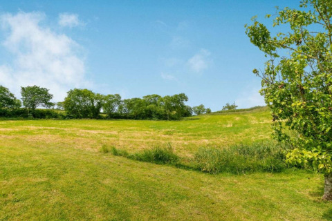 Prairie verdoyante avec ciel bleu et arbres près du pod Worm Dale au Royaume-Uni.