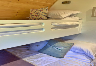 Modern bunk beds in the 'Deep Dale' pod in the UK, decorated with dragonfly-themed cushions and bedding.