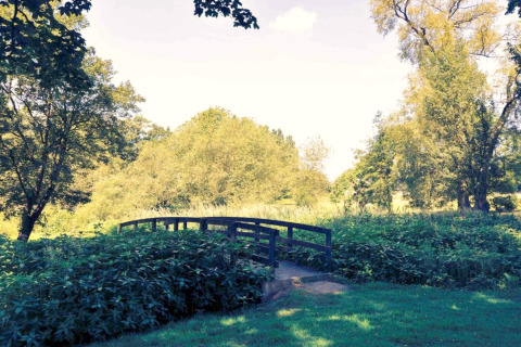 Un piccolo ponte di legno attraversa uno stagno, circondato da piante verdi e alberi alla luce del giorno.
