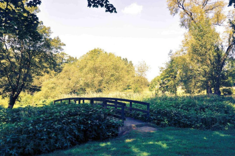 A small wooden bridge crossing a pond, surrounded by lush green plants and trees under daylight.