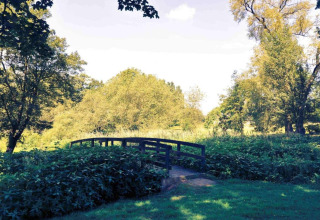A small wooden bridge crossing a pond, surrounded by lush green plants and trees under daylight.