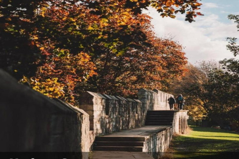 Path along an old stone wall bordered by autumn trees, with people walking under a clear sky.