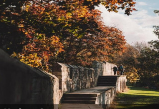Path along an old stone wall bordered by autumn trees, with people walking under a clear sky.
