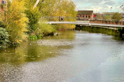 Foto di un ponte pedonale moderno sopra uno stagno con anatre e alberi verdi rigogliosi attorno.