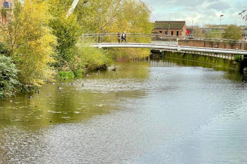 Photo of a modern pedestrian bridge over a pond with ducks and lush green trees surrounding the water.