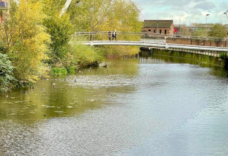 Photo of a modern pedestrian bridge over a pond with ducks and lush green trees surrounding the water.