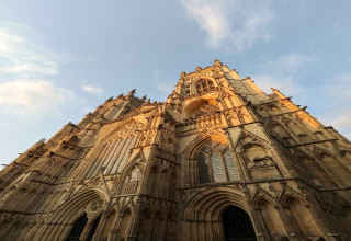 Maestosa cattedrale gotica fotografata dal basso al tramonto, illuminata dalla luce dorata sulle decorazioni.