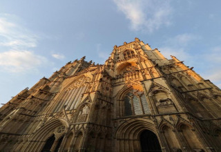Majestic Gothic cathedral captured from below at dusk, golden sunlight highlighting its intricate facade details.