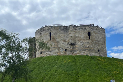 Photo of an ancient stone fortress atop a grassy hill under a cloudy sky, with a tree to the side.