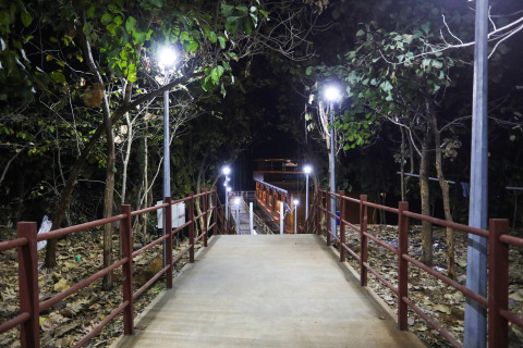 Sendero iluminado entre árboles de noche en Ekta Houseboat Statue Of Unity Kevadia en Italia.