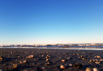 Laag standpunt van strand met schelpen in het zand, golven en een heldere blauwe lucht erboven.