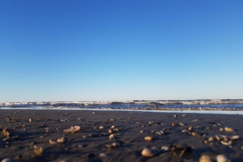 Vista a nivel bajo de una playa con conchas sobre la arena, olas suaves y un cielo azul claro.