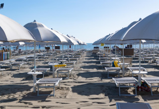 Leerer Strand mit Sonnenliegen und -schirmen in Reihen, fotografiert an der Cottage Cesenatico in Italien.