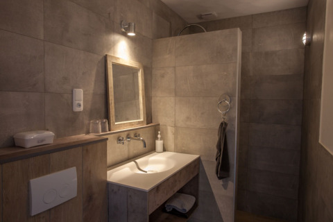 Moderne badkamer met houten accenten, spiegel en wastafel in chalet Holiday home De Vlonder, Nederland.