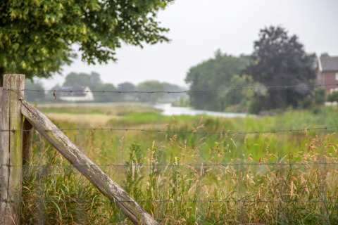 Barrierehegn foran grøn mark med udsigt til sø og træer ved Holiday home De Vlonder, Nederlandene.