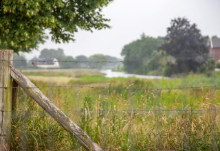 Prikkeldraadhek en groene weilanden bij Holiday home De Vlonder in Nederland, zicht op het water.