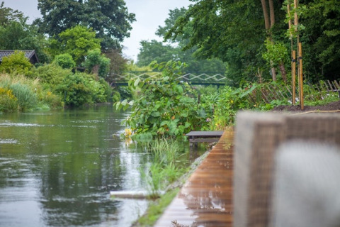 Uitzicht op een rustige rivier omringd door groen bij chalet Holiday home De Vlonder in Nederland.