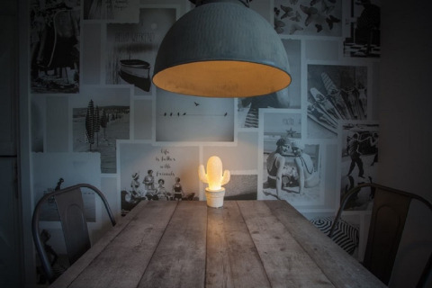 Cozy wooden table with a glowing cactus lamp under a large pendant light in a stylish chalet.