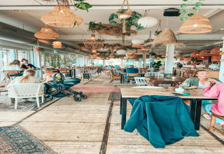 Helles, gemütliches Café auf dem Hausboot «Agua Dolce» mit Gästen und Pflanzen in den Niederlanden.