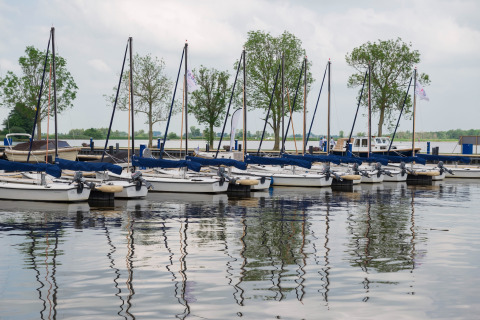 Segelboote am Steg bei Houseboat «Agua Dolce» in den Niederlanden, mit Bäumen am Ufer.