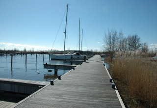 Houseboat named 'Boat' moored at a wooden dock in the Netherlands, with water and reeds around.