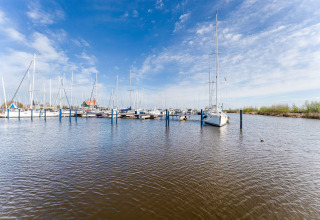 Marina con barche a vela ormeggiate vista dalla casa galleggiante La Belle Vie nei Paesi Bassi con cielo azzurro.