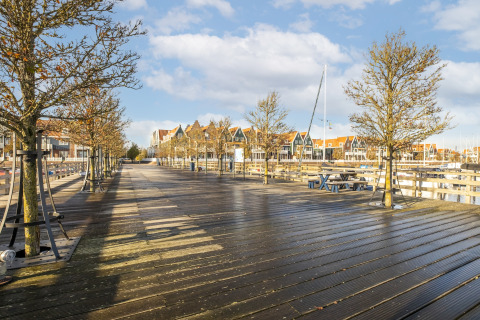 Udsigt fra husbåden Marina Sunrise, træpromenade med træer og huse i baggrunden i Holland.