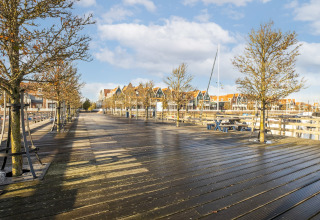 Udsigt fra husbåden Marina Sunrise, træpromenade med træer og huse i baggrunden i Holland.