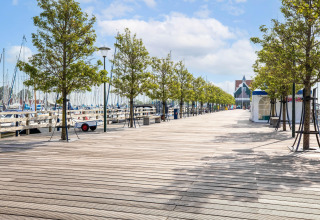 Træpromenade med både og grønne træer ved Volendam Marina i Holland, set i morgensolens skær.
