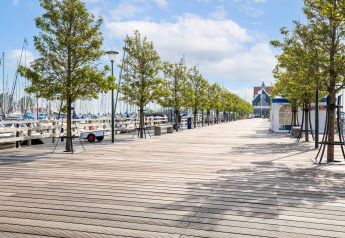 Promenade en bois bordée d’arbres et de bateaux au port de Volendam, Pays-Bas, sous un ciel bleu.