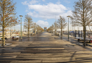 Bred træbrygge med træer og lamper ved havn nær husbåd Marina Sunrise i Holland på en solrig dag.