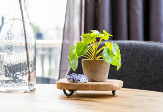 Table dans une péniche à Volendam Marina, Pays-Bas, avec plante en pot sur plateau en bois et bouteille en verre.